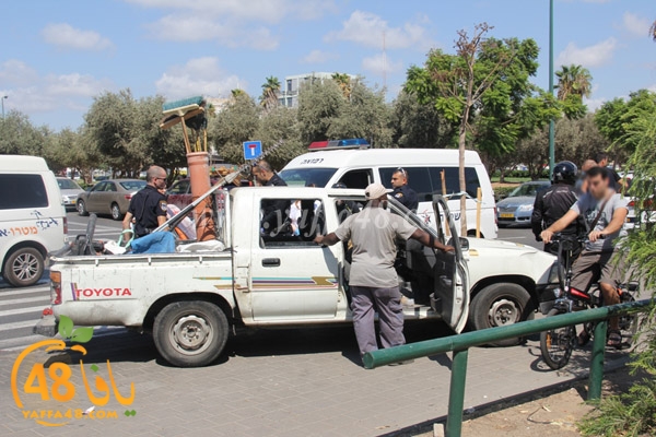 ta3n yaffa jnh (8).JPG